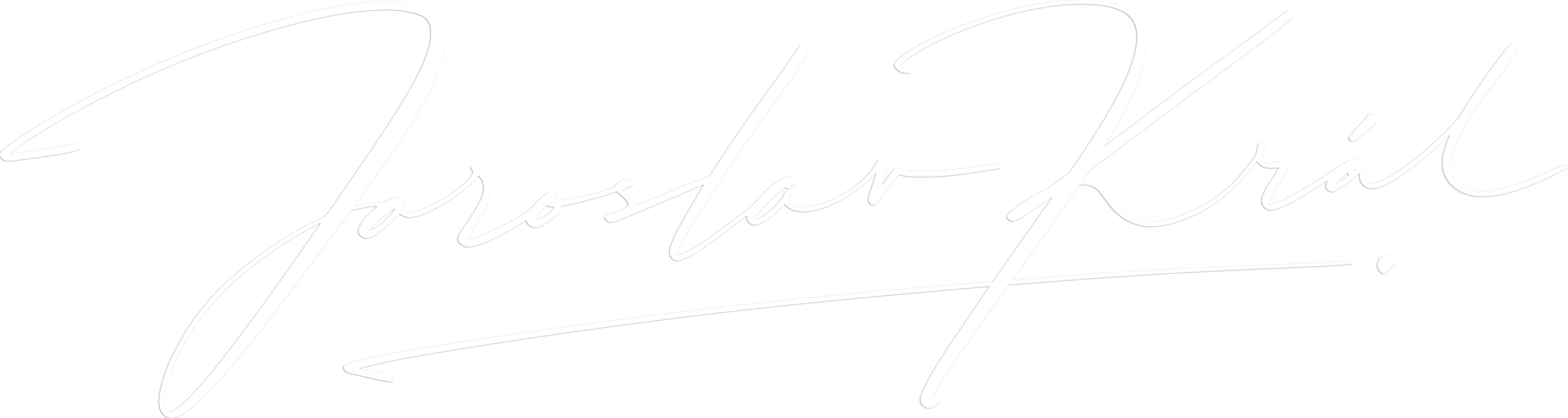 Partner 1